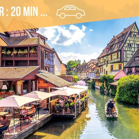 ✧ La Suite ✧ Studio De Charme Route Des Vins Kintzheim Eksteriør billede