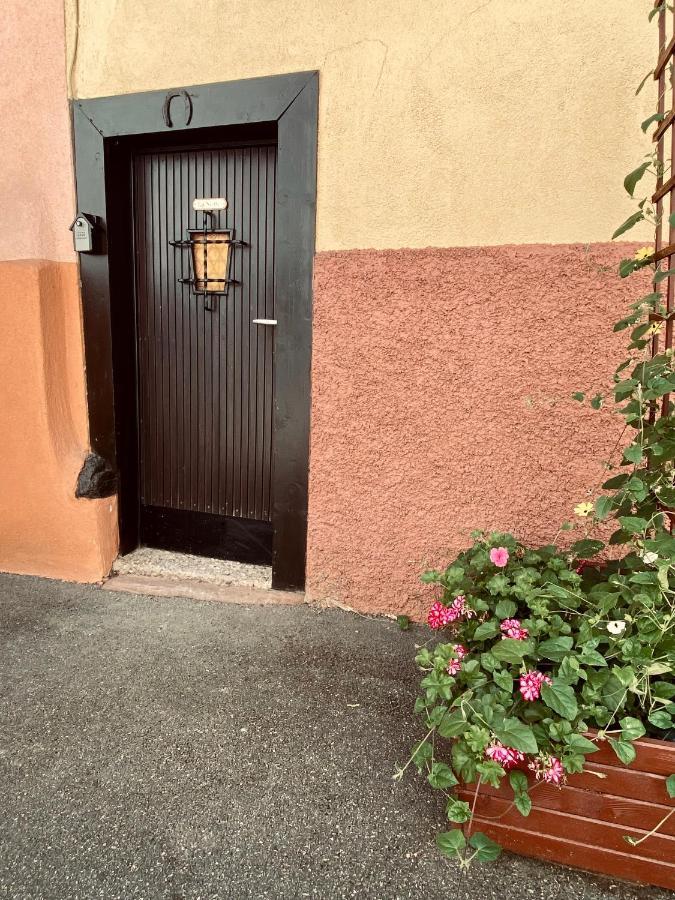 ✧ La Suite ✧ Studio De Charme Route Des Vins Kintzheim Eksteriør billede